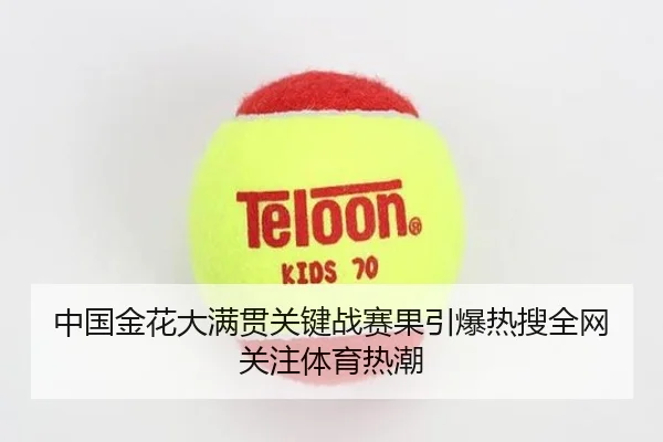 zhong-guo-jin-hua-da-man-guan-guan-jian-zhan-sai-guo-yin-bao-re-sou-quan-wang-guan-zhu-ti-yu-re-chao-2-507.jpg